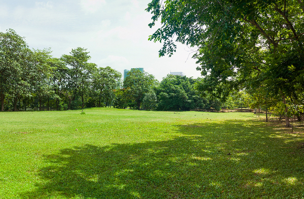 Fertilizer Packages Kennebec Landscaping